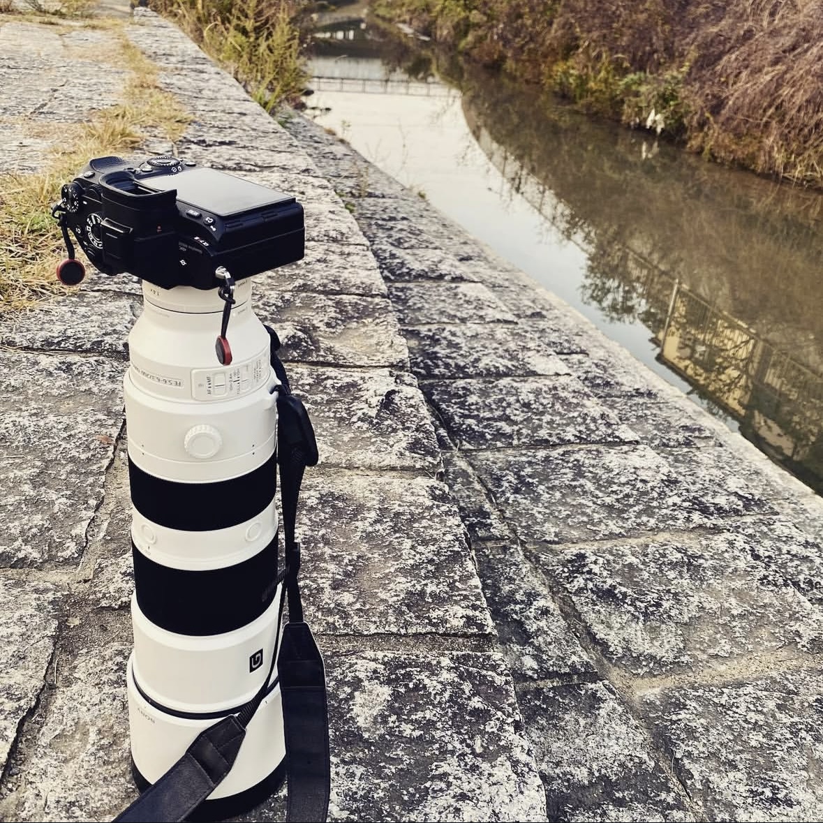 SONY FE 200-600mm F5.6-6.3 G OSS