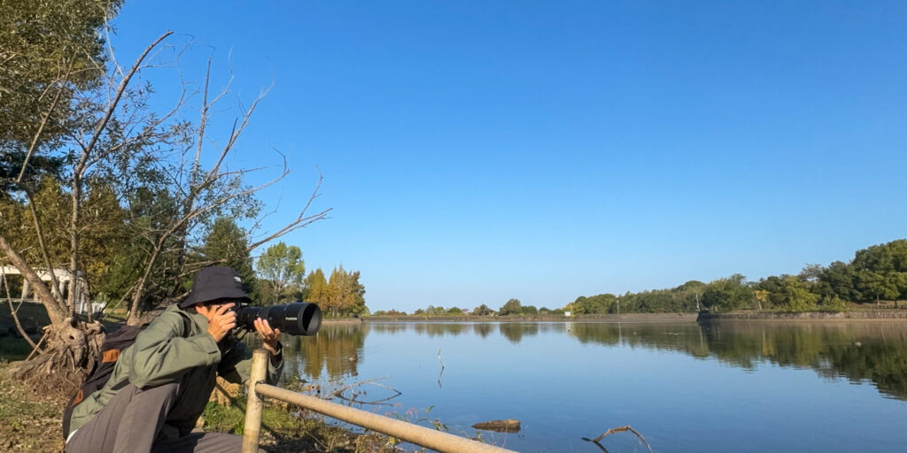 FUJIFILMで野鳥撮影