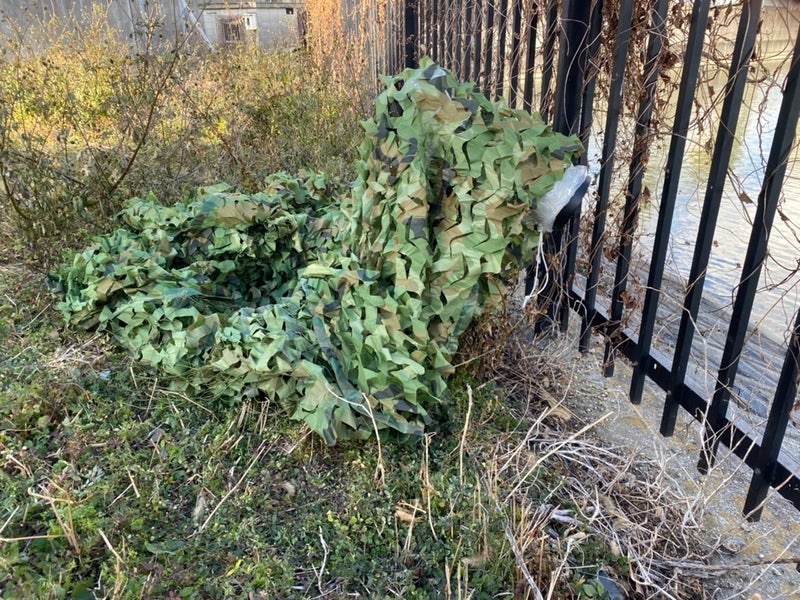 カワセミを狙う撮影風景