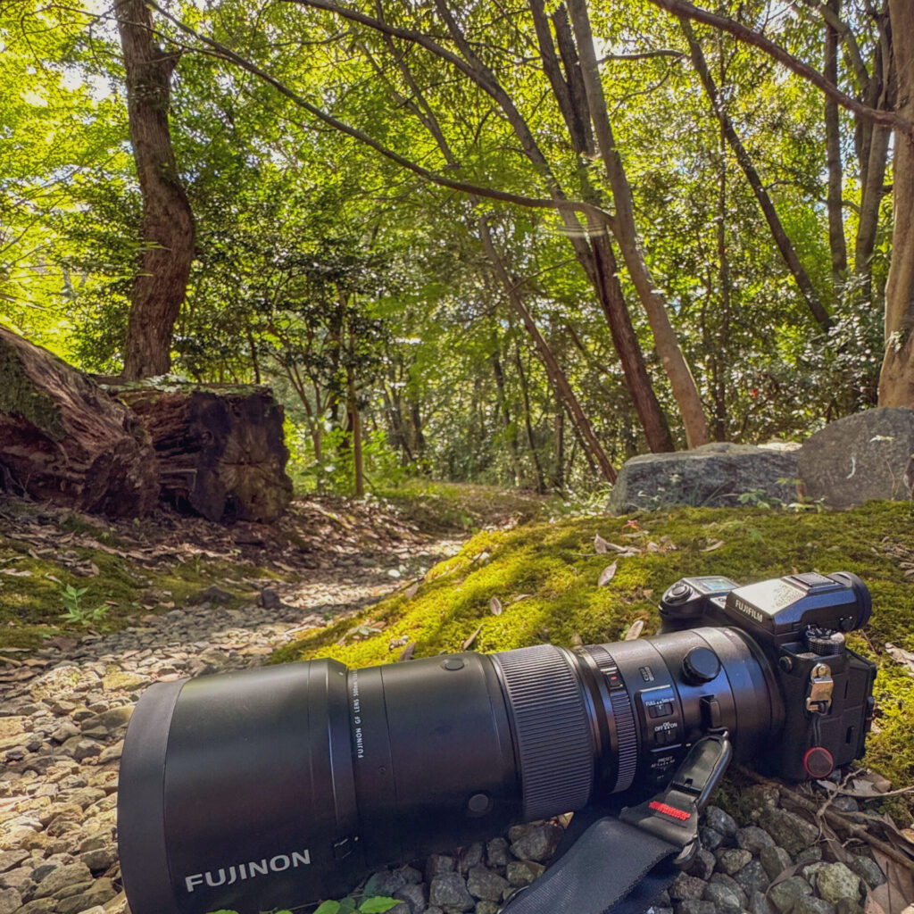 野鳥撮影時のFUJIFILM GFX50S