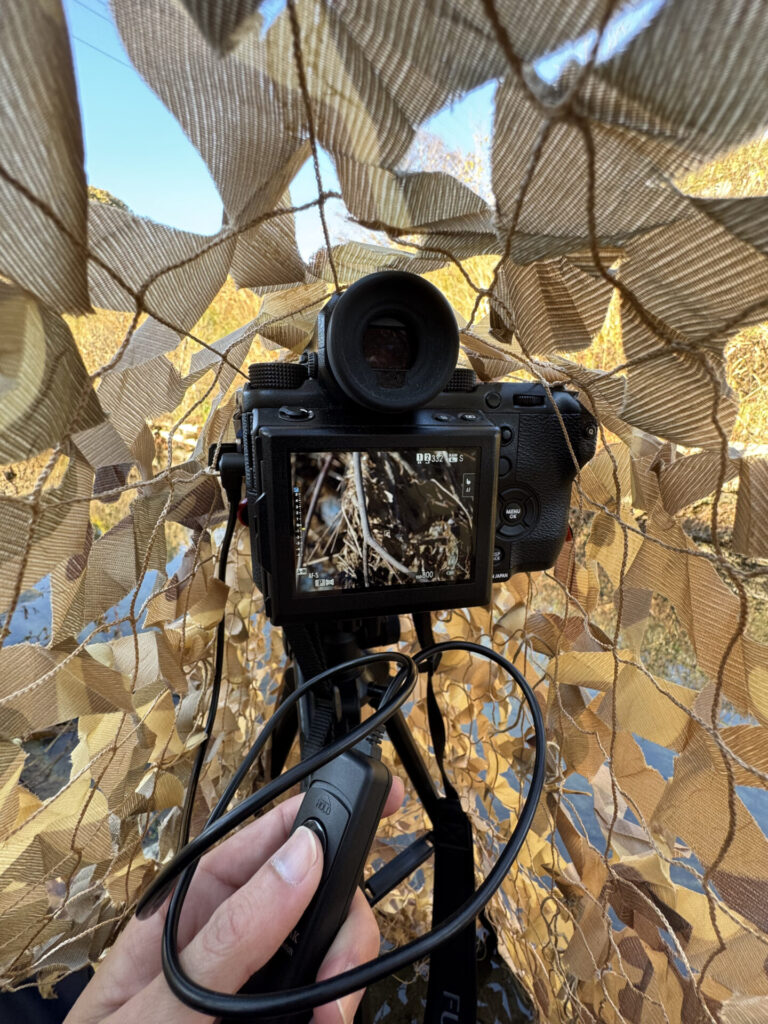 カモフラネットの中でレリーズリモコンを使って撮影している様子