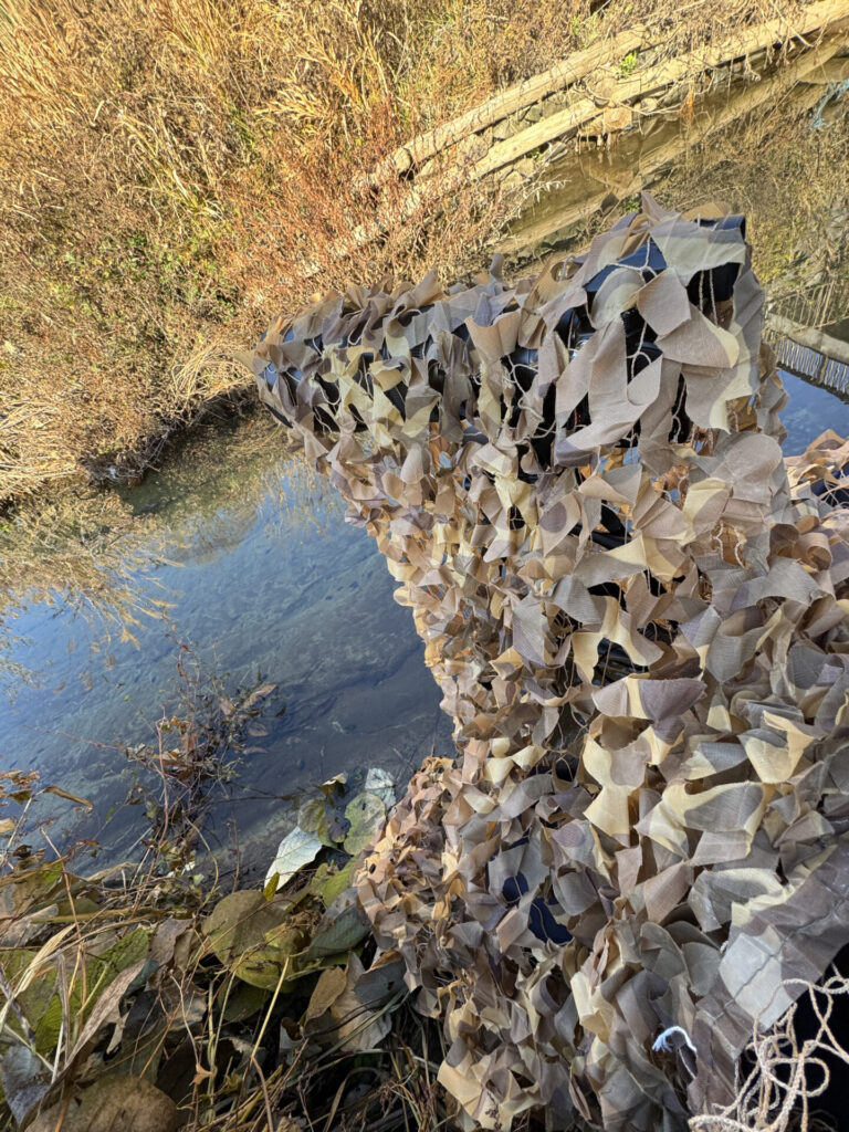 カメラと三脚、カモフラネットを設置した様子