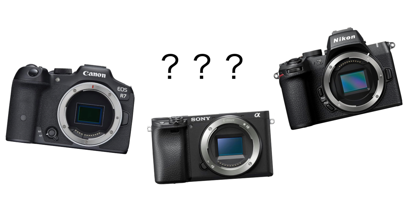 15万円以下で買える野鳥撮影におすすめのカメラ3選