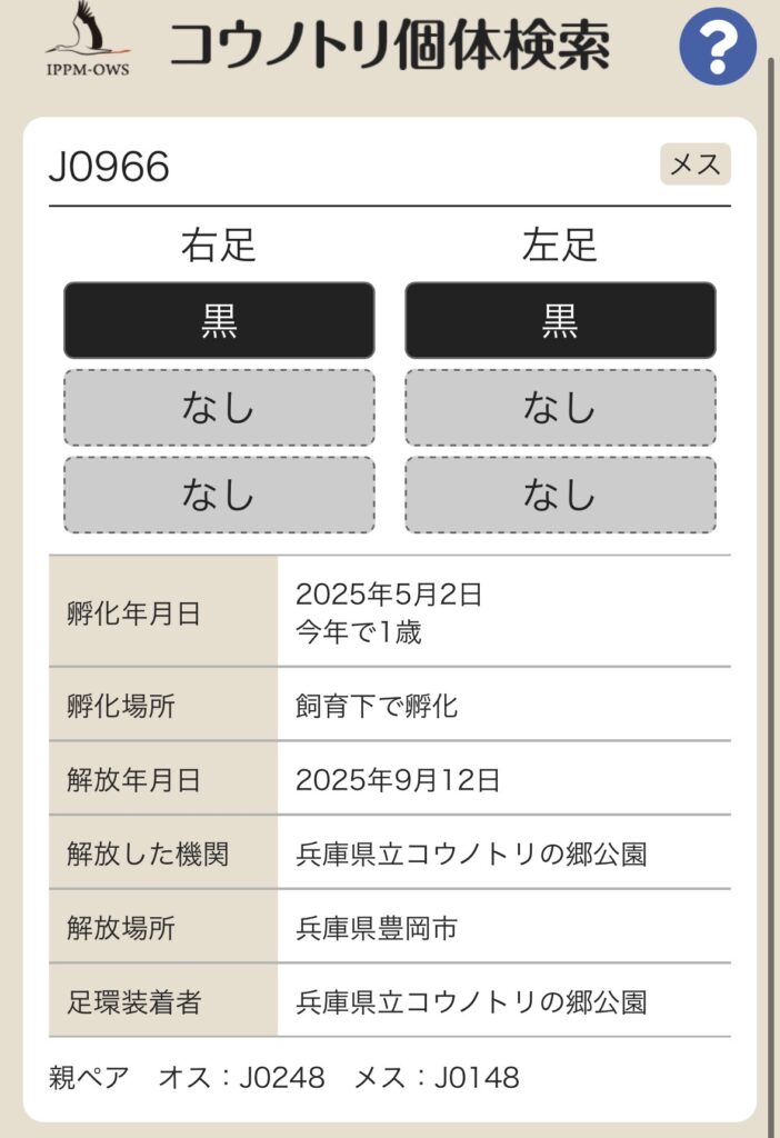 コウノトリ個体検索の結果