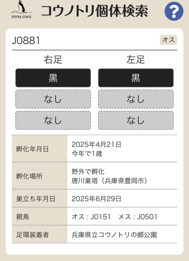 コウノトリ個体検索の結果