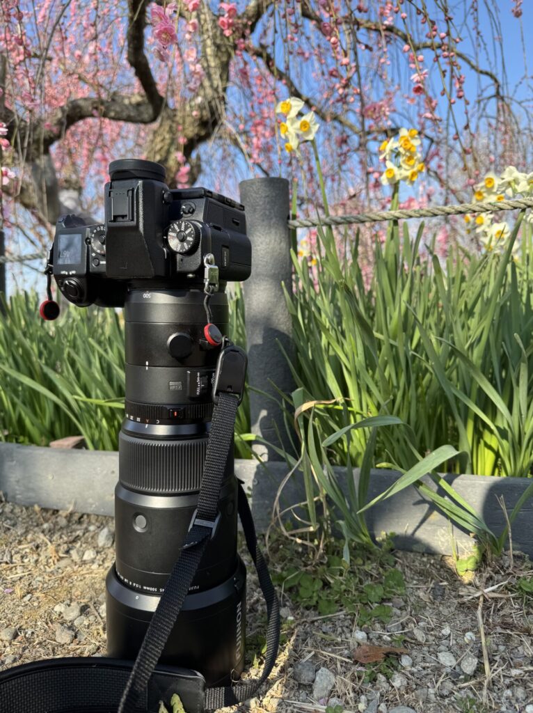 愛用しているGFX50SとGF500mmF5.6
