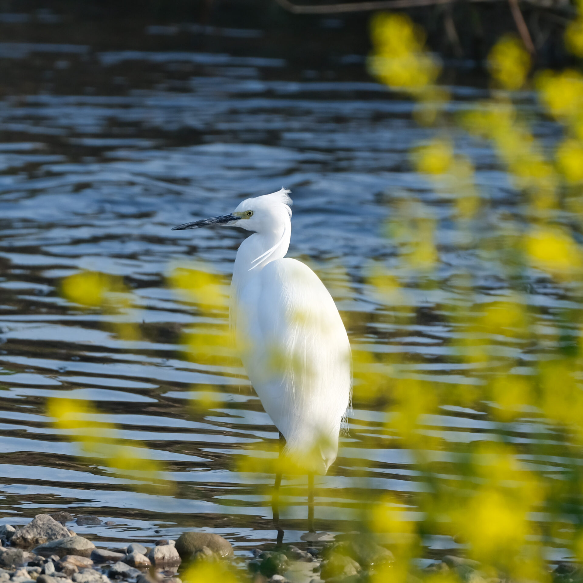 FUJIFILM GFXラストラン!ありがとうGF500mm & GFX50S