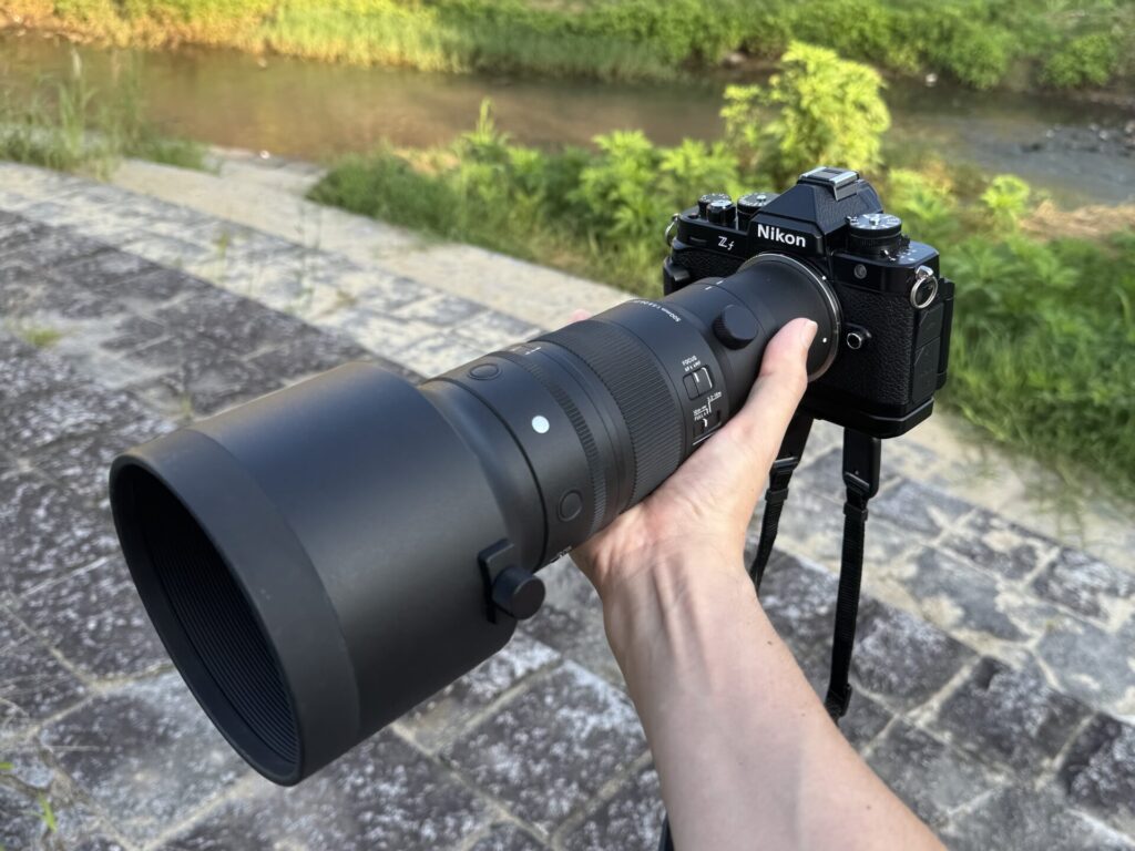 Nikon Zf と シグマ 500mm F5.6