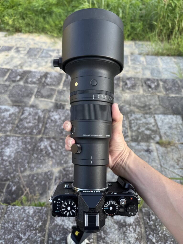 Nikon Zf と シグマ 500mm F5.6